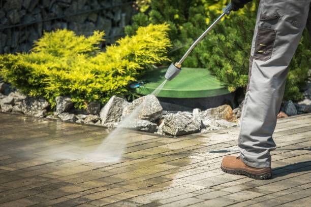 Best Animal Enclosure Cleaning  in Mishicot, WI